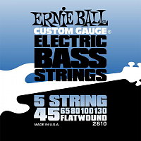 ERNIE BALL P02810