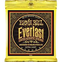 ERNIE BALL P02560